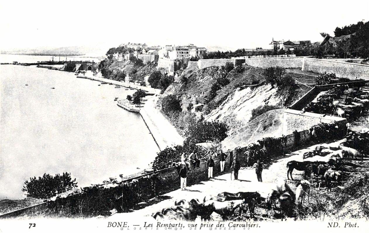 Bone - Les Remparts vus des Garoubiers.jpg